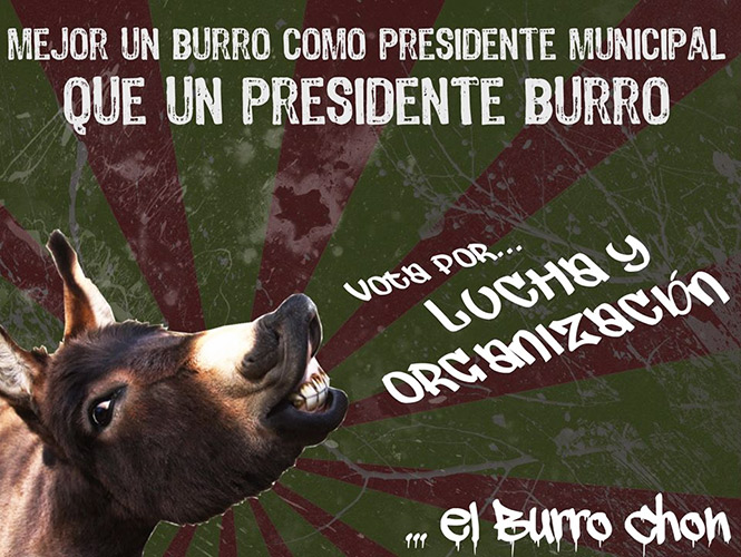 burro-chon-100613-1